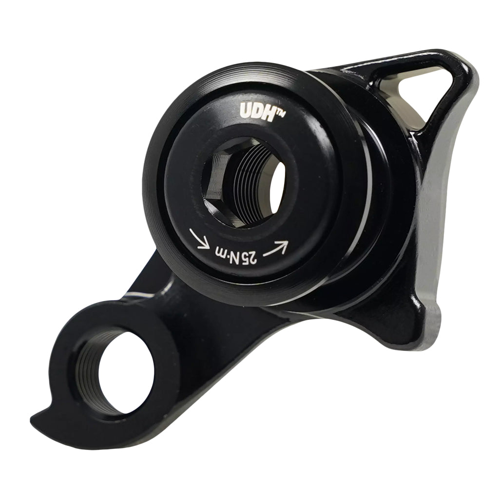 Aethos2LightweightUDHDerailleurHanger-2.jpg