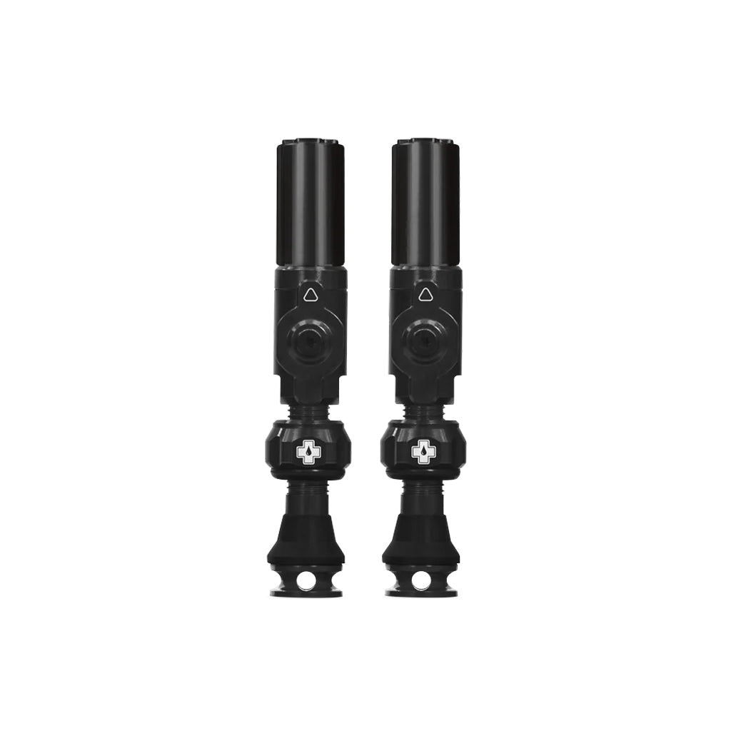 BigBoreHybridTubelessValvesBlack30mm.jpg