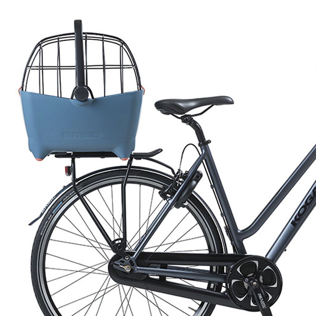 Buddy-SpaceFrame-2.jpg