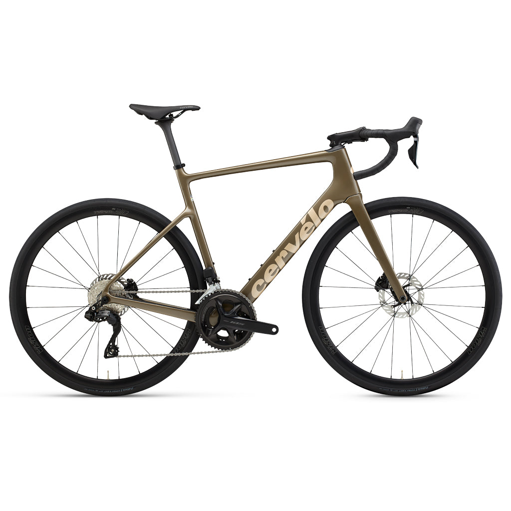 Caledonia105Di2Mocha.jpg