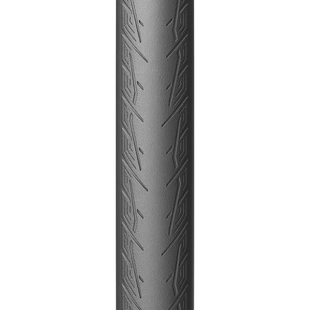 CinturatoRoadTLR-2.jpg