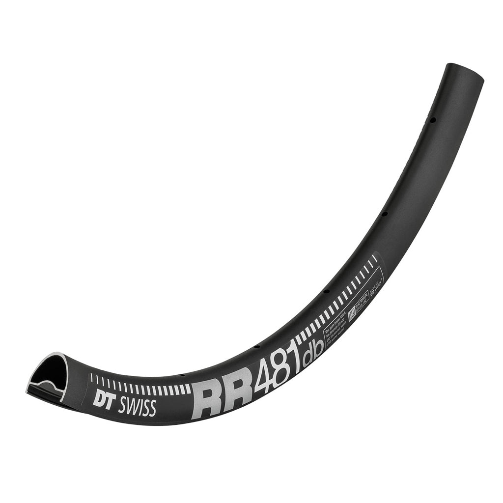 DTSwissRR481DiscRim.jpg