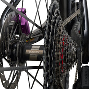 Giant Anthem Advanced SL Special Edition
