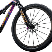 Giant Anthem Advanced SL Special Edition
