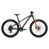 Giant STP 24 FS