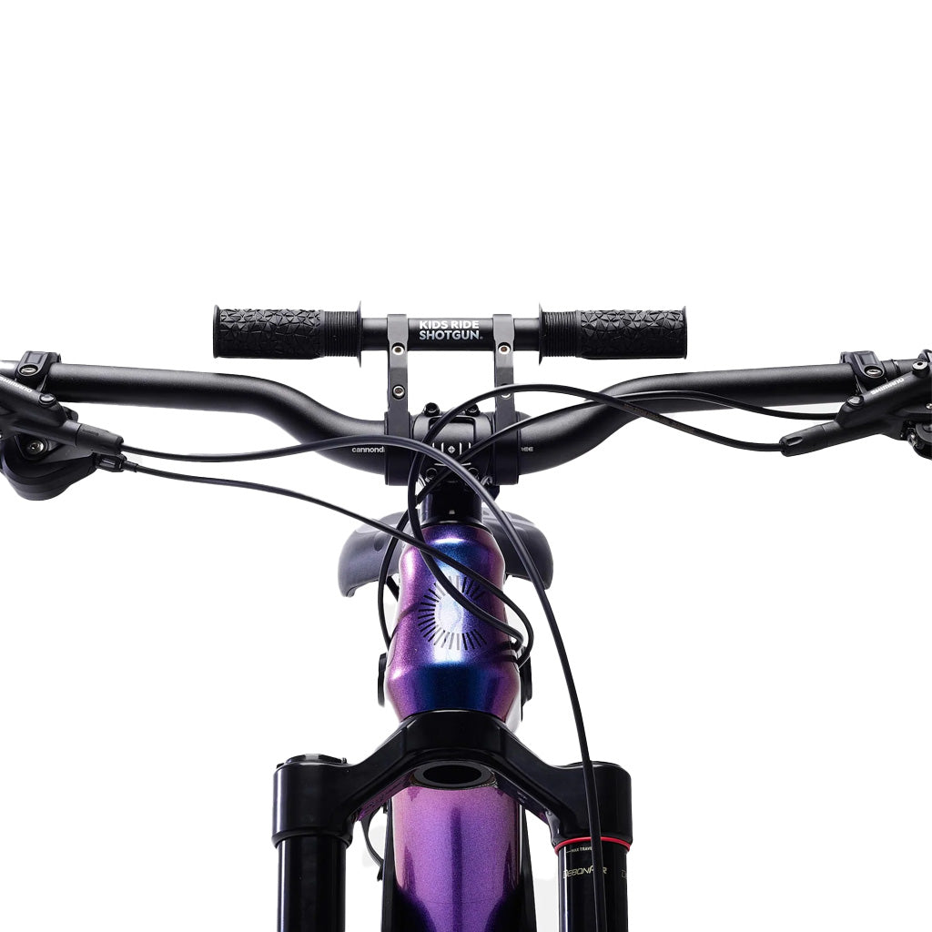 KidsRideShotgun2.0Handlebars.jpg