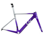 Liv EnviLiv Advanced SL Frameset