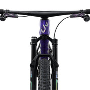Liv Pique Advanced SL Special Edition