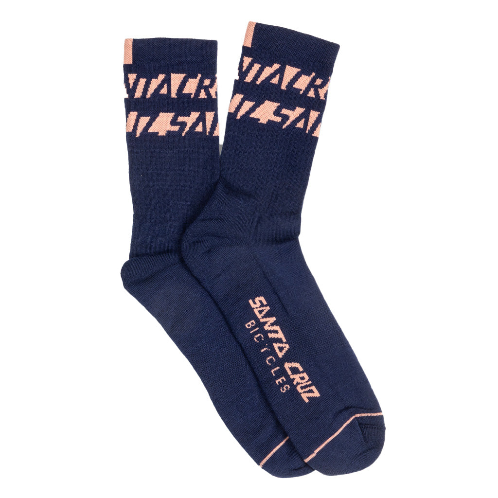 LunchRideSock-NBlue.jpg