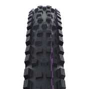 Schwalbe Pro Magic Mary Radial