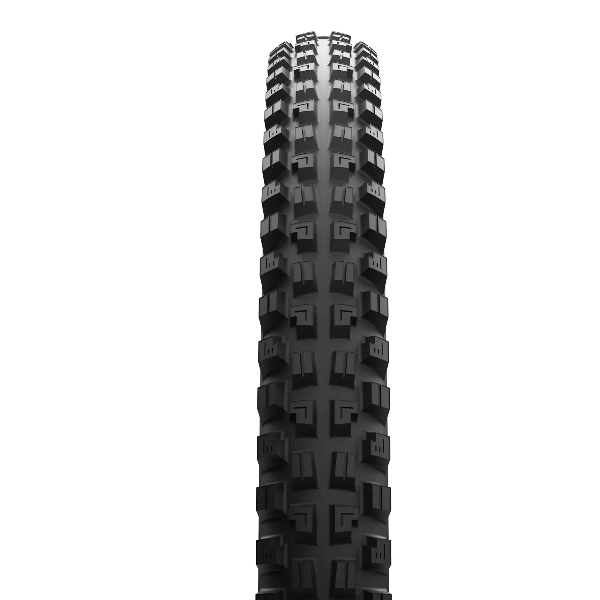 Maxxis-Minion-DHX-2.webp