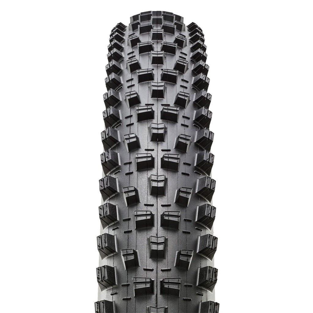MaxxisForekaster-2.jpg