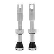 Peaty's x Chris King MK2 Tubeless Valves