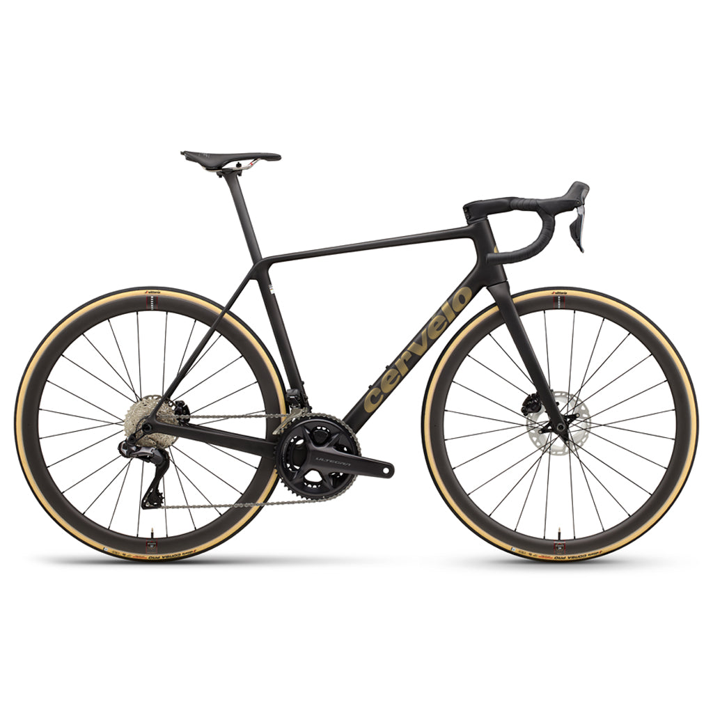 R5UltegraDi2-Bronze.jpg