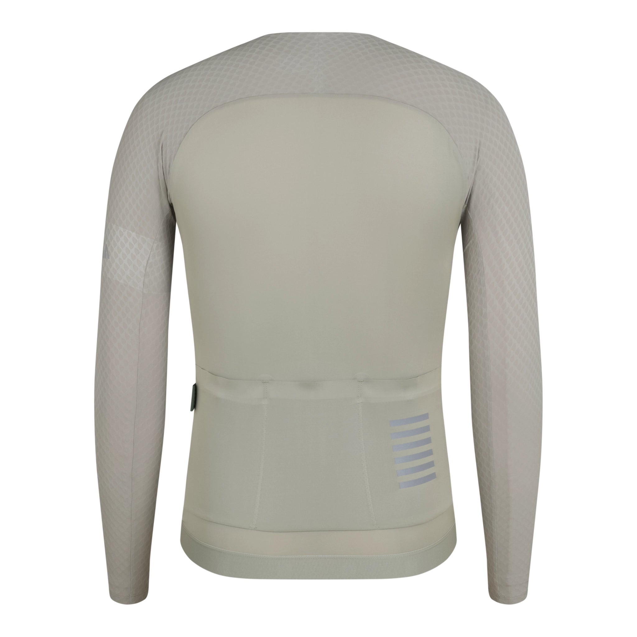 Rapha-Men_s-Pro-Team-Long-Sleeve-Aero-Jersey-Seagrass-Silver-Reflective-Rear.webp