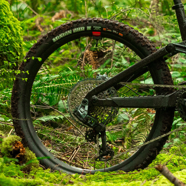 MTB Wheels