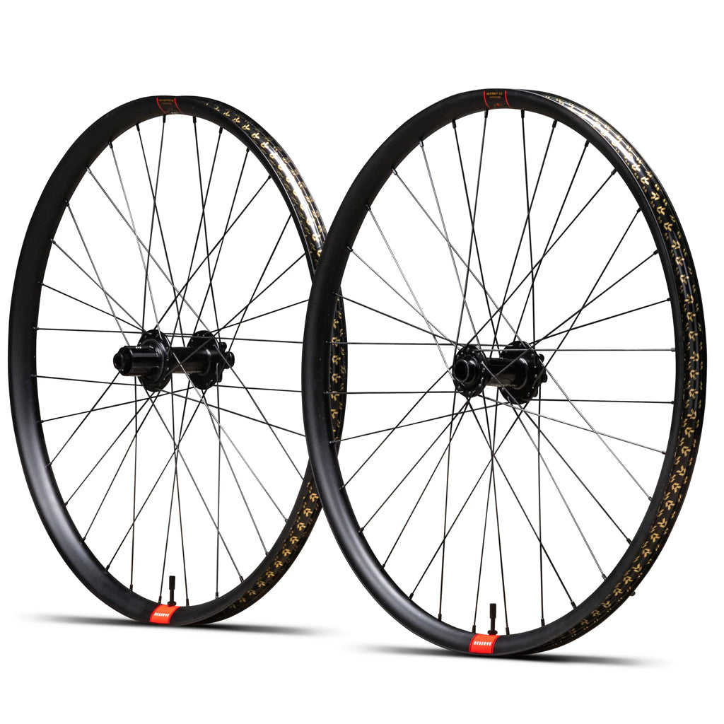 Reserve30_HDMXAluminumDT35090TRatchetDEG110Bst157XD6-BoltWheelset.jpg