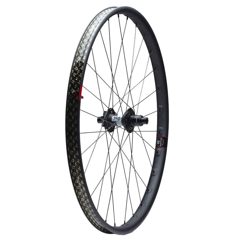 Reserve30_SL29_CarbonDT350DEGDF110XD6-BoltWheelset-2.jpg