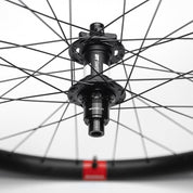 Reserve 30|SL Aluminum 29 | DT 350 DEG DF 110 XD 6-Bolt Wheelset
