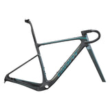 Giant Revolt Advanced SL Frameset