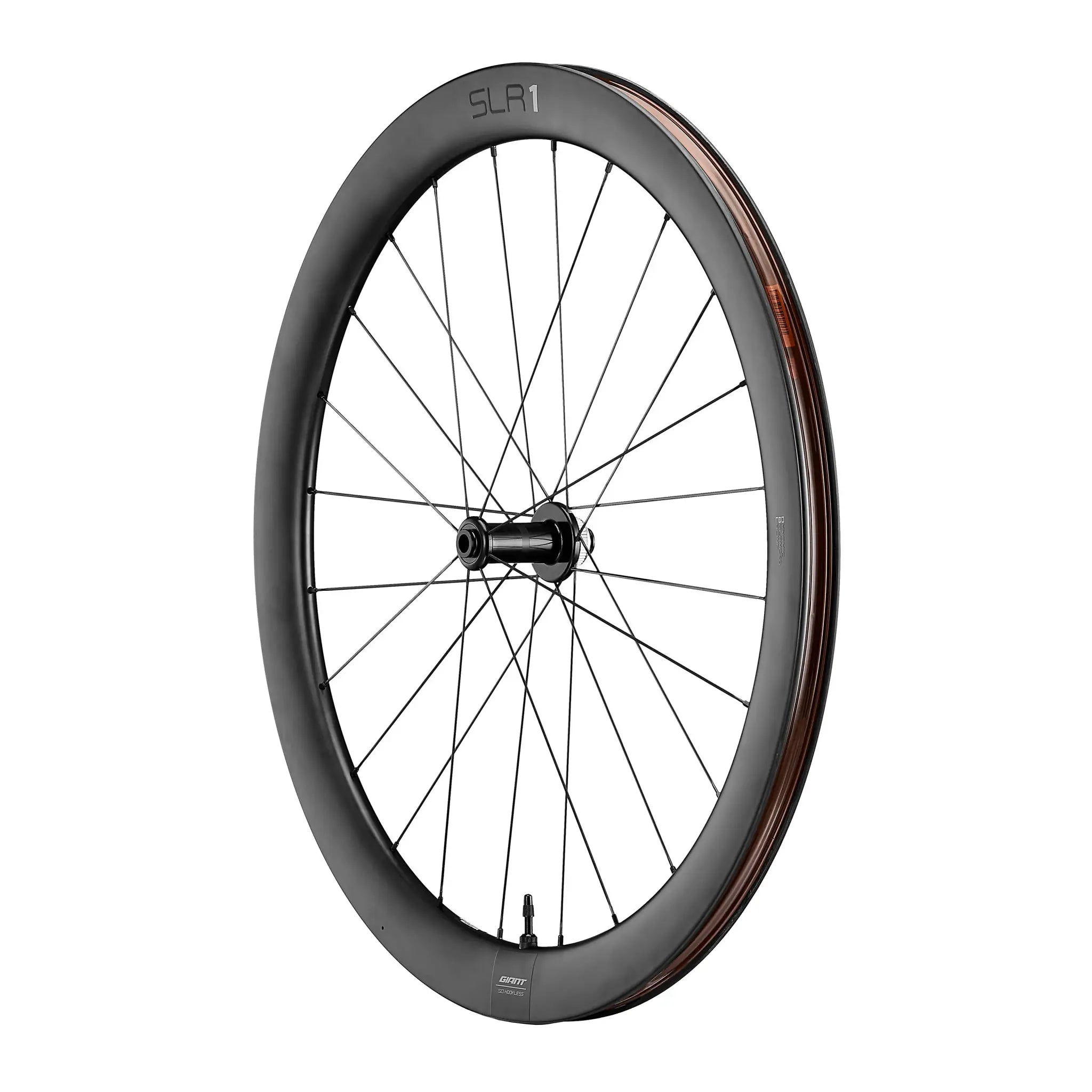 SLR-1-50-Disc-Front.webp