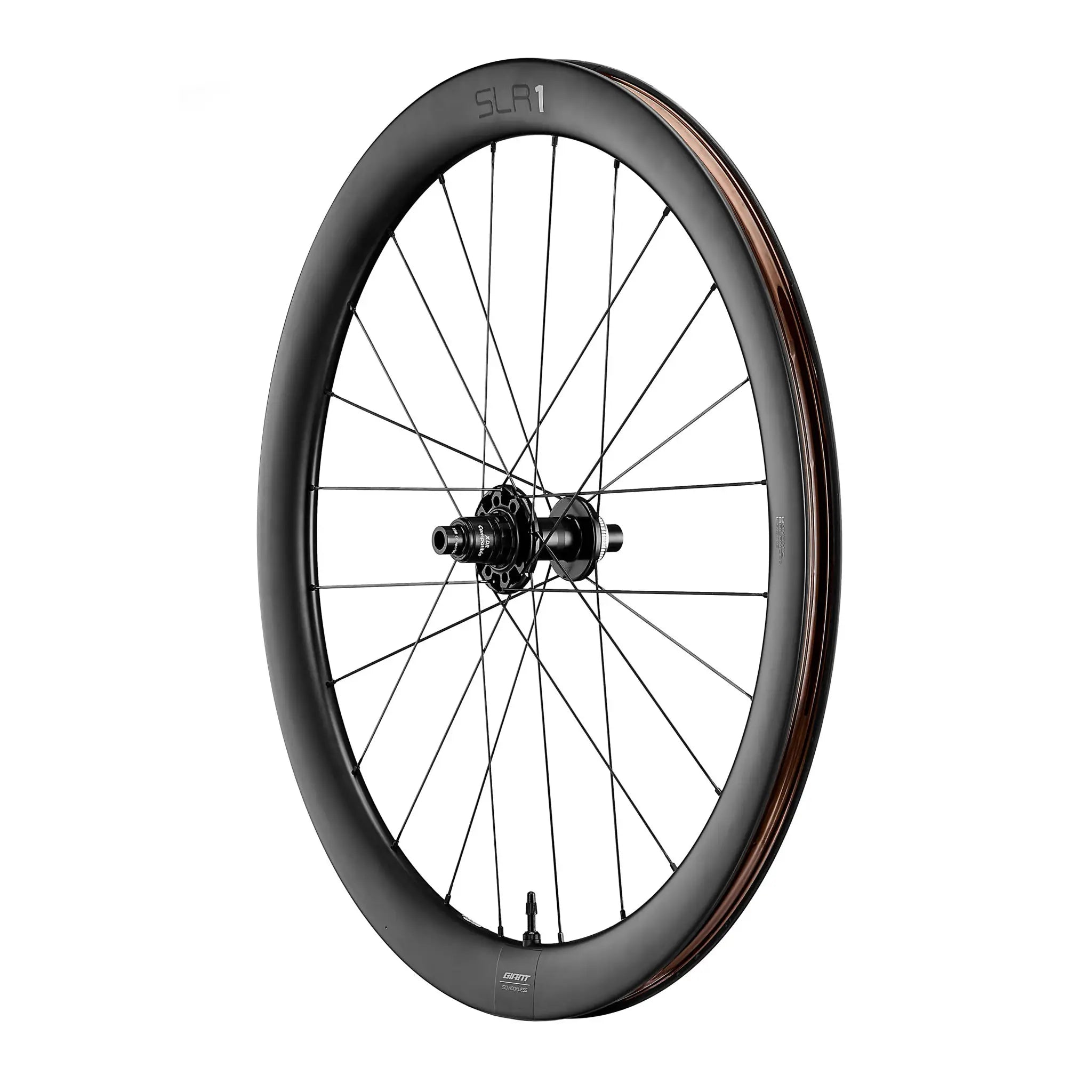 SLR-1-50-Disc-Rear.webp