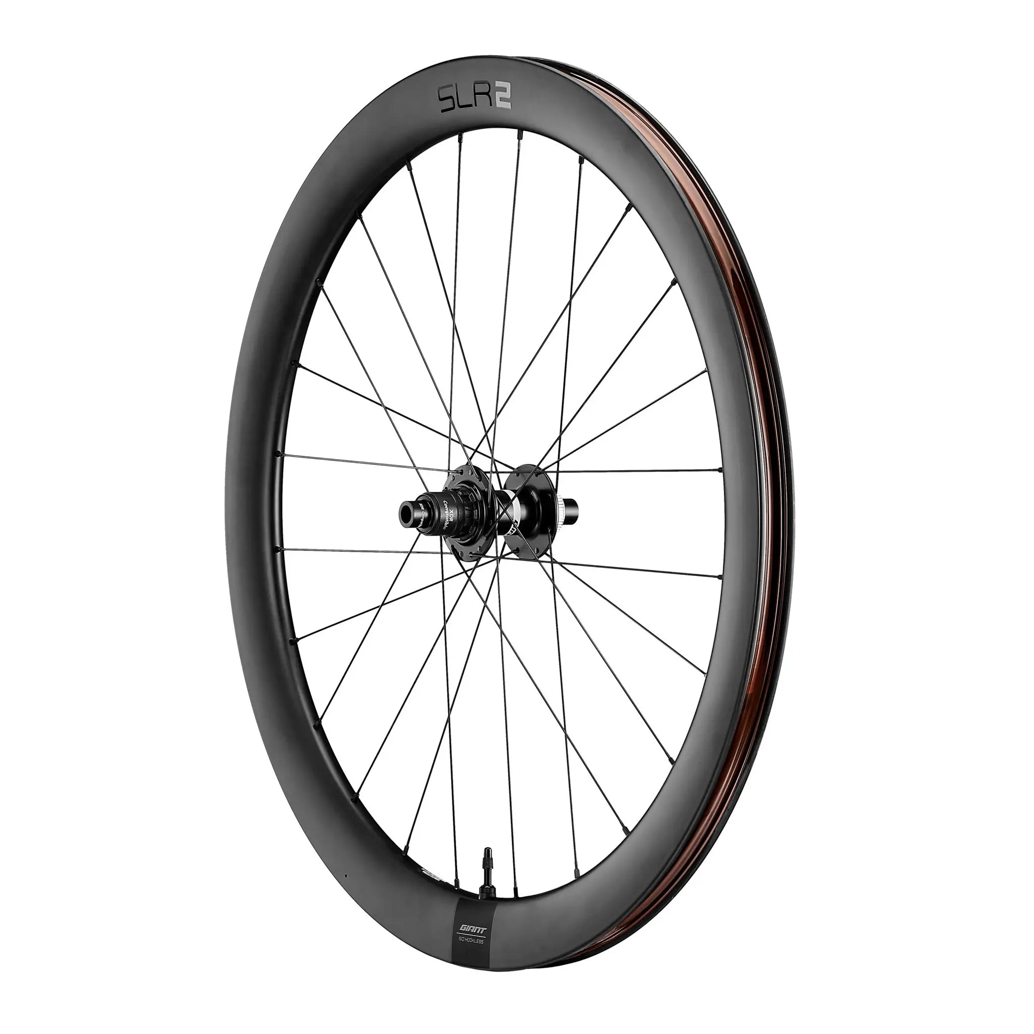 SLR-2-50-Disc-Rear.webp