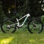 Santa Cruz Tallboy 5 CC 29 Custom (Demo)