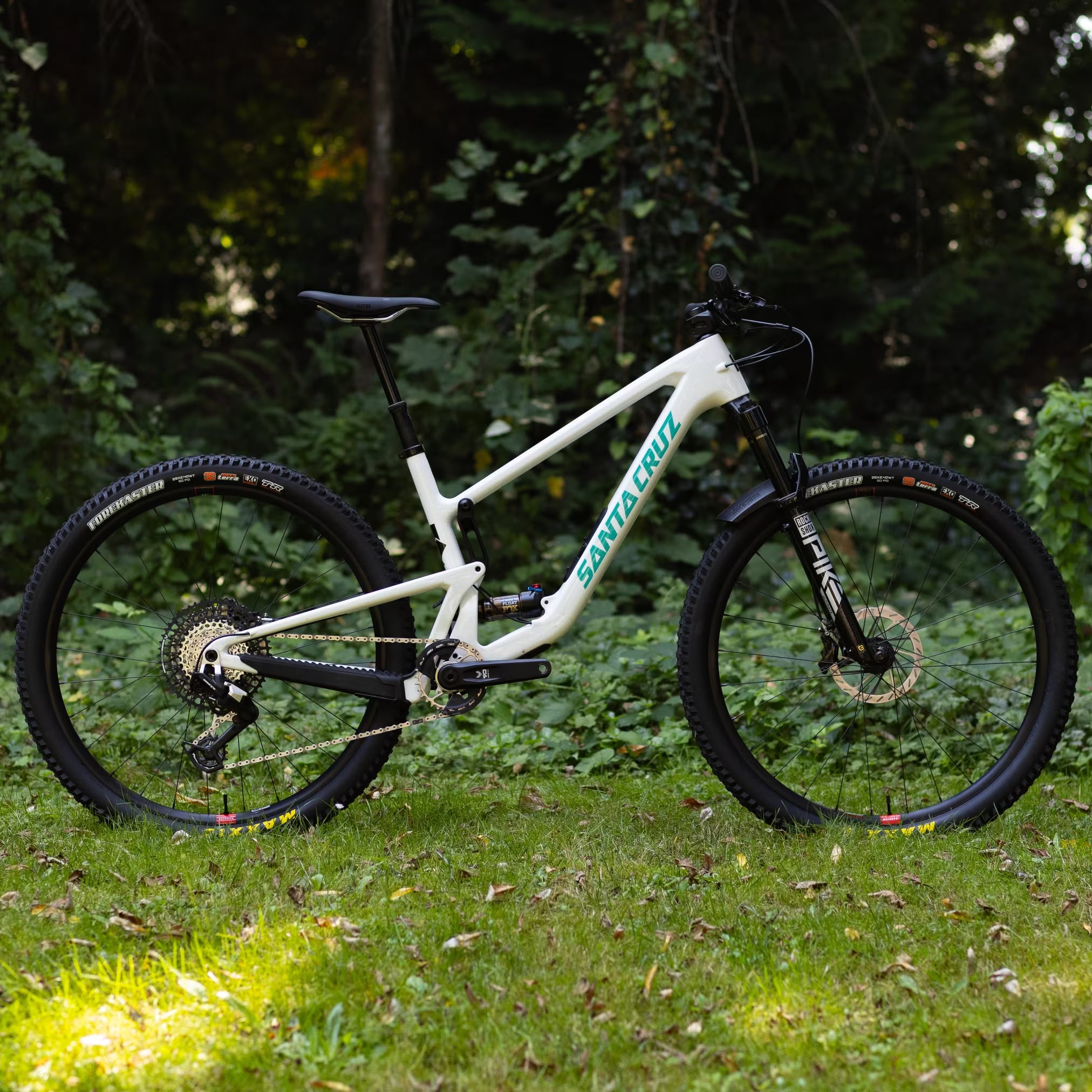 Santa-Cruz-Tallboy-SRAM-90-Custom.avif