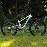 Santa Cruz Tallboy 5 CC 29 Custom (Demo)