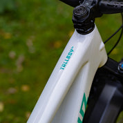 Santa Cruz Tallboy 5 CC 29 Custom (Demo)