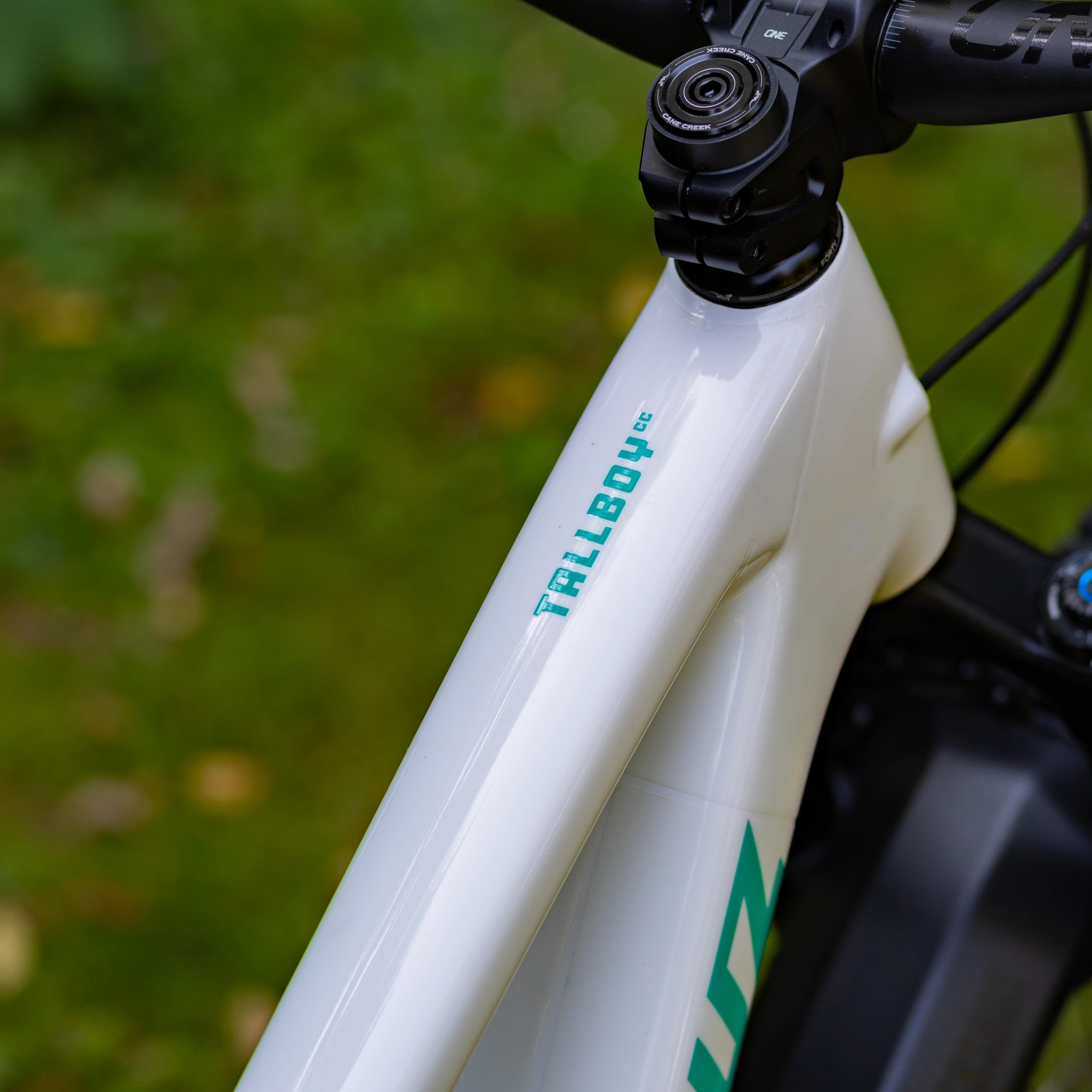 Santa Cruz Tallboy 5 CC 29 Custom (Demo)