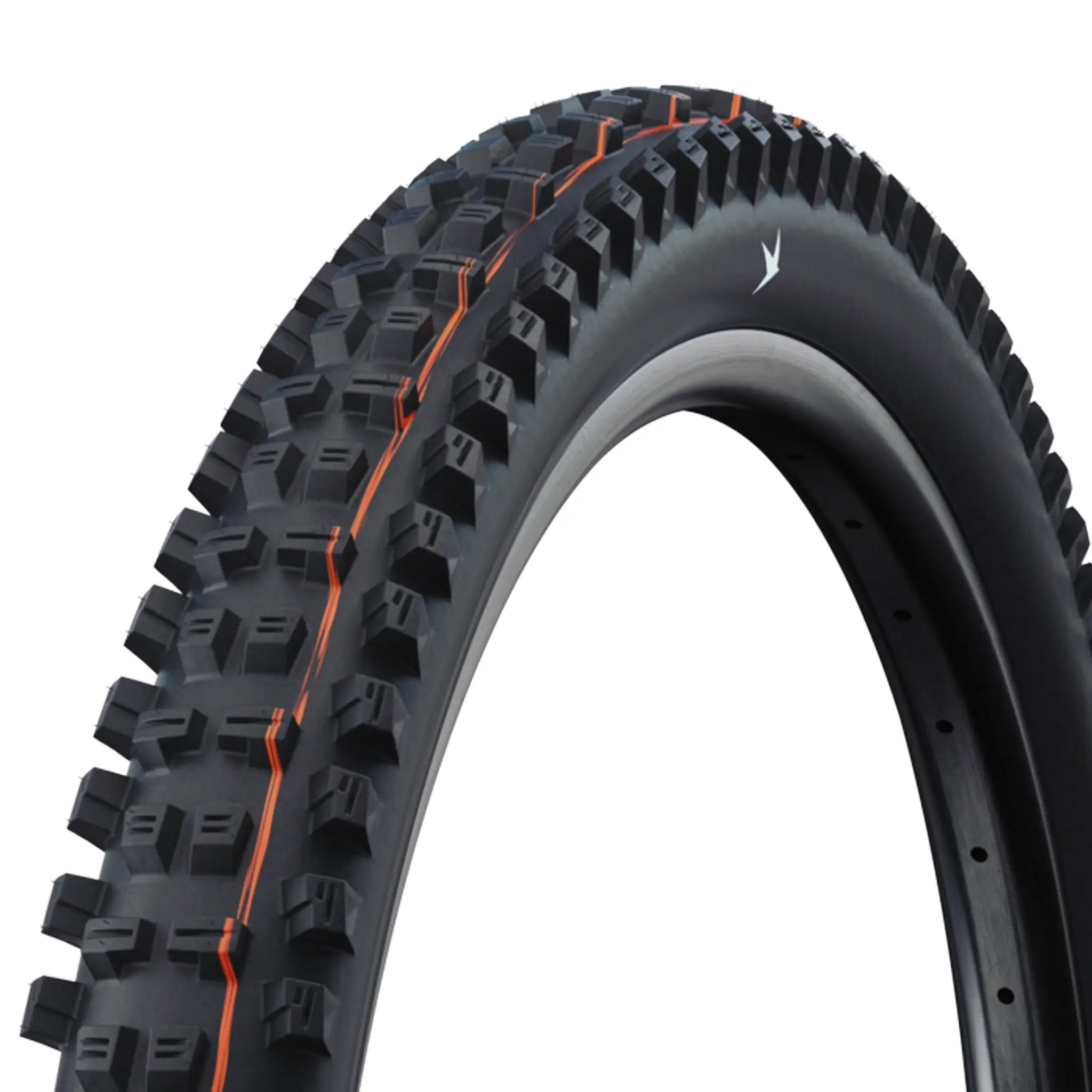 Schwalbe Pro Tacky Chan