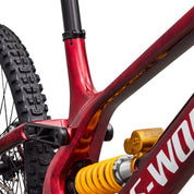 Specialized S-Works Demo 11 LTD Built for Legends
