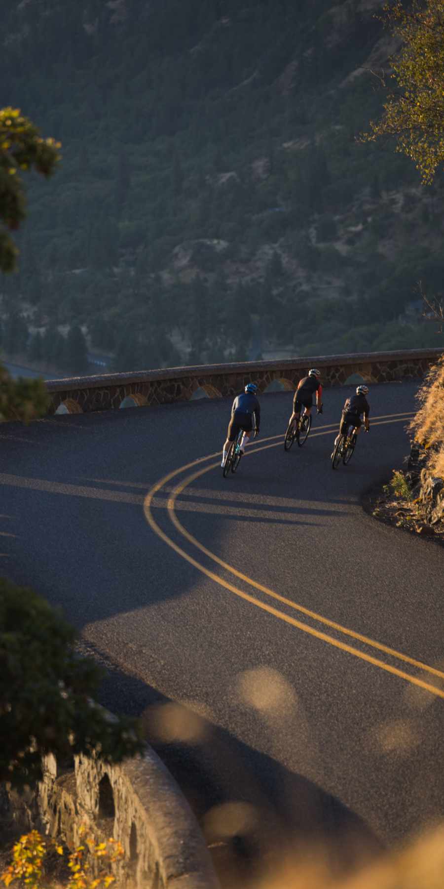 Steed-Cycles-Giant-Defy-Mobile-Header.jpg