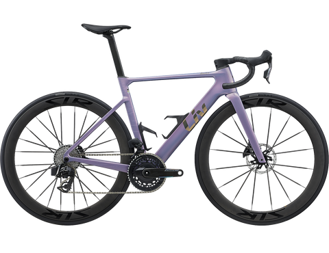 Enviliv Color 1