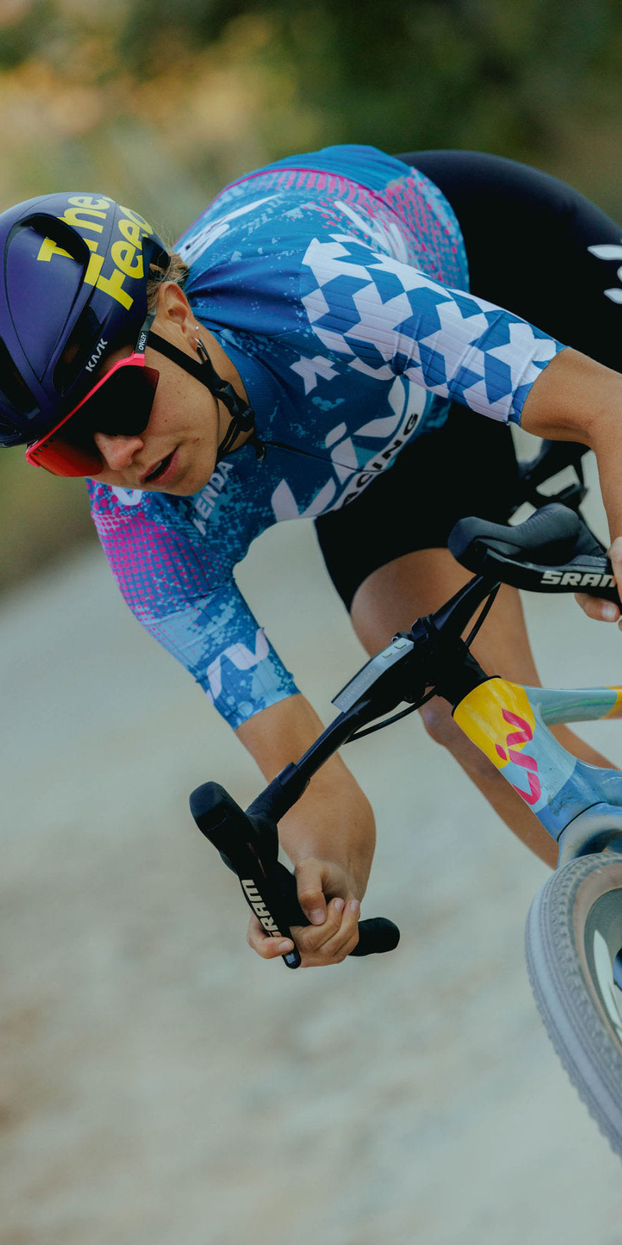 Steed-Cycles-Liv-Canada-Mobile.jpg