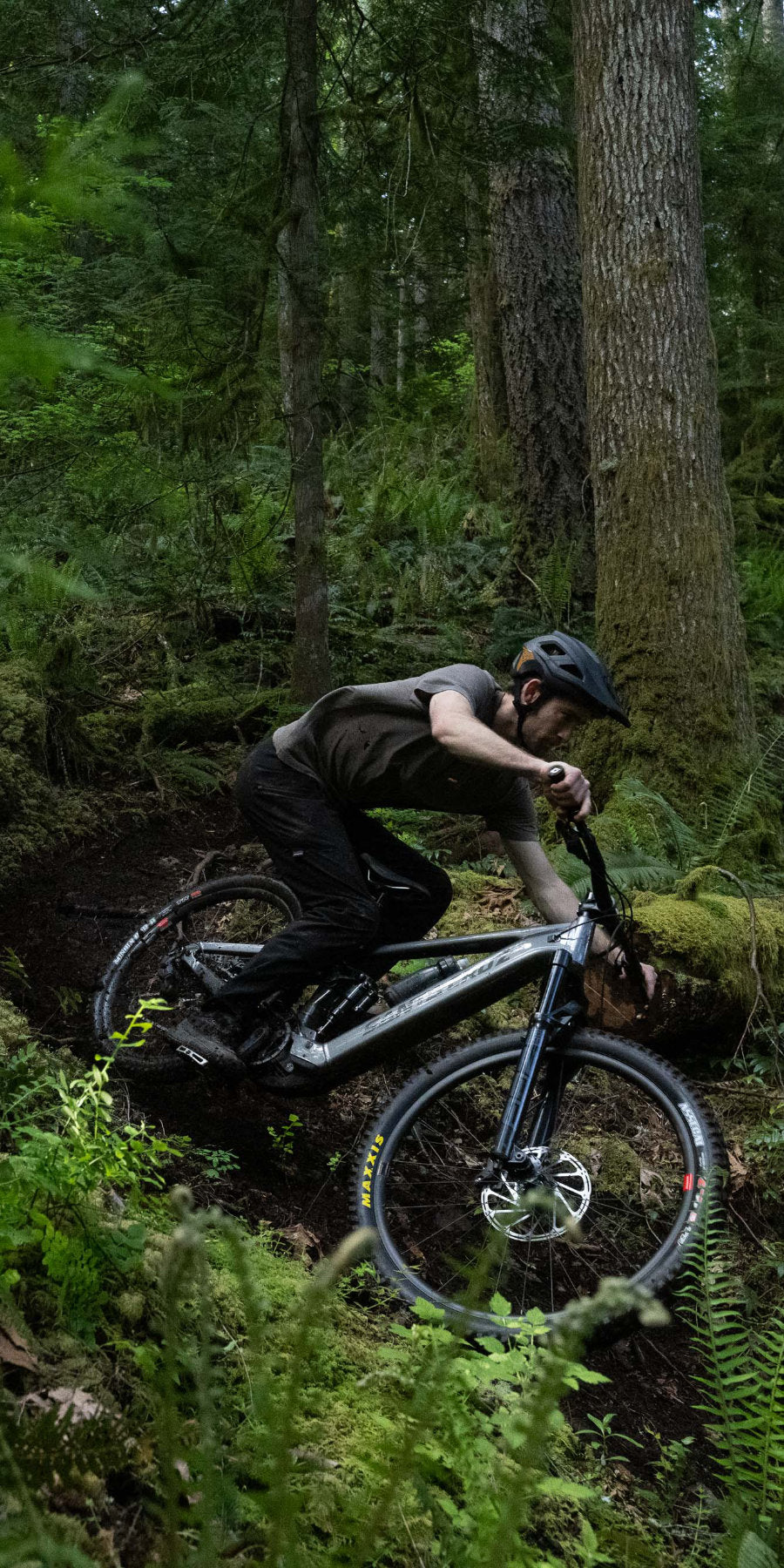 Steed-Cycles-Santa-Cruz-Canada-Mobile.jpg