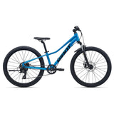 Giant Talon 24 Disc