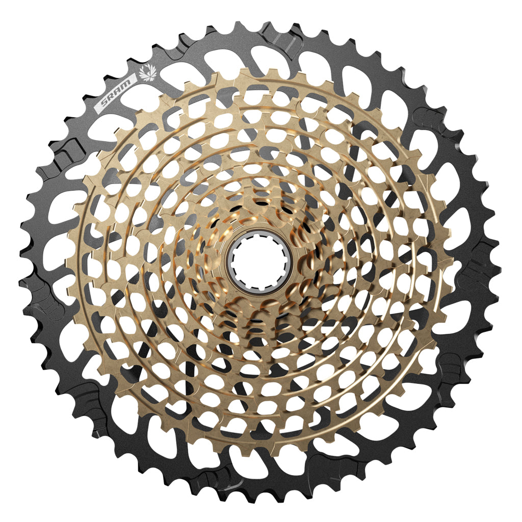 XG-1299-Gold.jpg