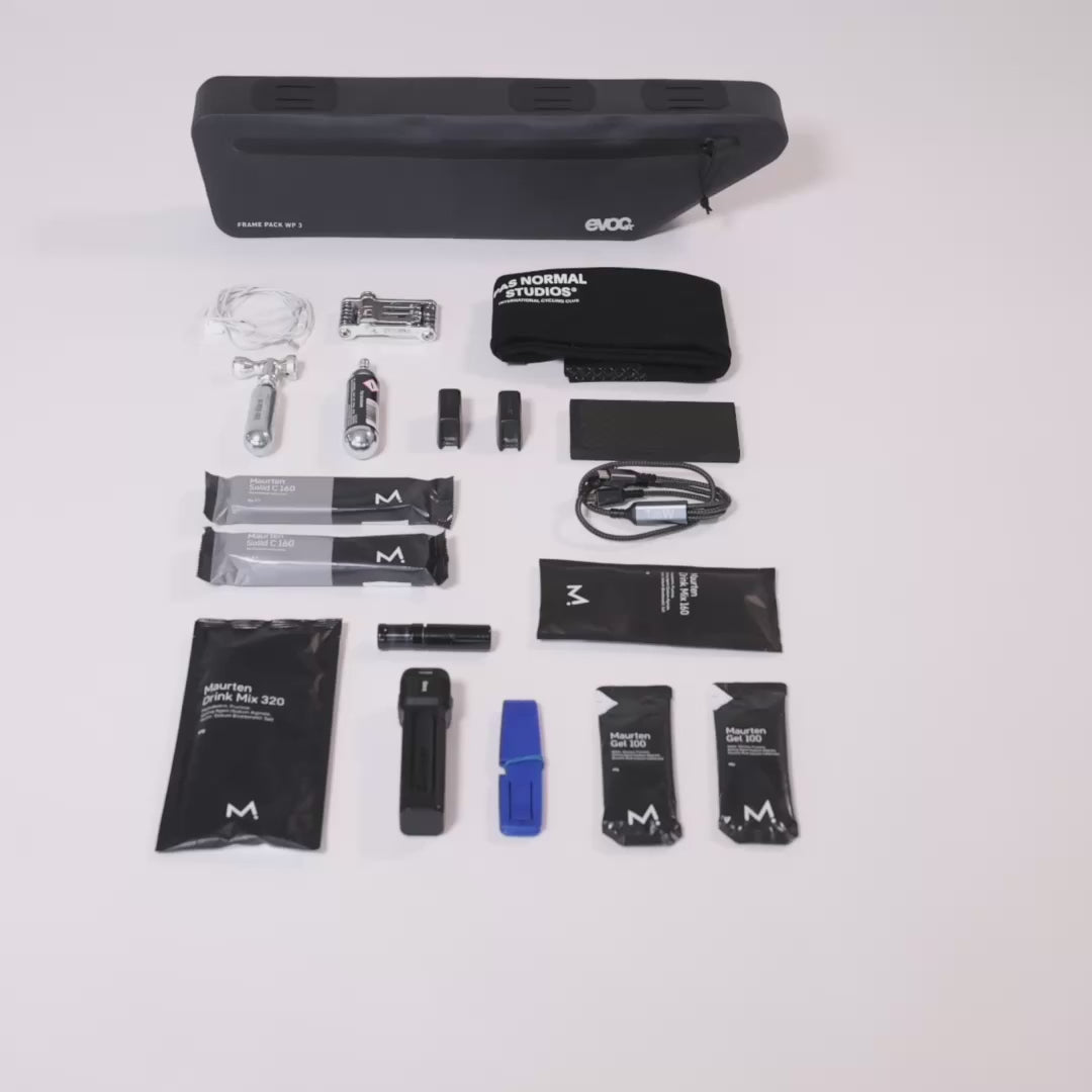 EVOC Frame Pack WP 3