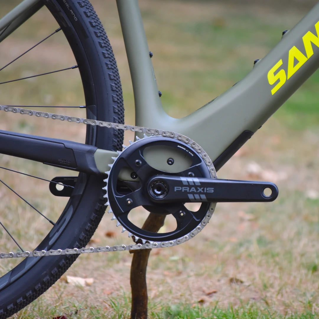 Santa Cruz Skitch motor driveside with Praxis cranks
